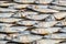 rows of drying mackerel or saba fish on the road by the ocean in an Indian village. poor areas of goa