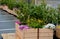 rows of flowerpots made of natural spruce boards. in the parking