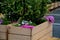 rows of flowerpots made of natural spruce boards. in the parking