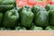 Rows of Fresh Green Peppers