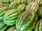 Rows of fresh green striped watermelons piled on the market counter