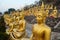 Rows of golden sitting Buddhas