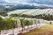 Rows of grape vines protected with bird netting