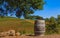 Rows of grape vines on rolling hills with a wine barrel in the foreground at a vineyard in Sonoma County, California, USA