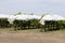 Rows of grape vines on trellis covered in plastic