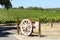 Rows of Grape Vines with wagen wheel gate, Barossa Valley, South Australia.