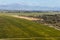 Rows of grapevine in Marlborough