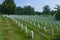 Rows of Grave Markers at Arlington