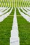 Rows of grave markers in a military cemetery