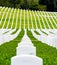 Rows of grave markers in a military cemetery