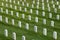 Rows of graves in Arlington National Cemetery