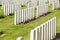Rows of graves in Ypres