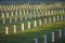 Rows of Gravestones at Sunset
