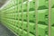 Rows of green student lockers in school hall