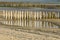 Rows groynes on the beach