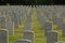 Rows of headstones in a cemetery 1