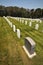 Rows of headstones in a cemetery