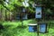 Rows of honey bee hive boxes in the orchard at the foot of the mountain