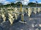 Rows of Hydroponic containers filled with strawberries