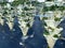 Rows of Hydroponic containers filled with strawberries