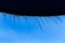 Rows of icicles hanging from an awning against a blue sky