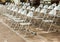 Rows of iron chairs are set up for an outdoor performance