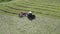 The rows making from dry hay before baling