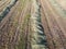 Rows of mowed grass, aerial view. Haymaking. Farmland landscape