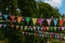 Rows of Multicoloured Buntings with Trees in the Background.