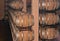 Rows of oak barrel of red wine in cellar of winery in Spain