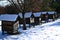 rows of old wooden beehives covered in snow