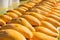 Rows of orange mangoes