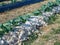 Rows of organic cabbage on sheep wool mulch for a sustainable, biodegradable weed elimination product.