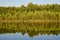 Rows of pines and birches standing are symmetrically reflected on the surface of the water