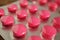 Rows of pink pills in the plastic tray as a symbol of modern medicine