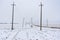 Rows of poles bearing electricity on agricultural field