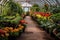 rows of potted plants in a vibrant greenhouse