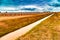 Rows of precast poles to support fruit trees