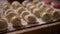 Rows of prepared dumplings with minced meat