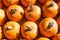 Rows of Pumpkins Ready for Sale at a Pumpkin Patch