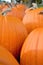 Rows of Pumpkins on Wagon