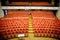 Rows of red plush chairs in the great hall