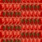 Rows of red ripe tomatoes.Repeating attractive square backdrop.Creative square modern design cooking,splashback pattern