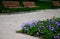 Rows of reddish wood benches on their paneling under the benches is a rectangle of concrete anti-scraping beige paths by the shoes