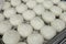 Rows of Siopao buns at the kitchen of a restaurant. Philippine indigenized version of the Cantonese steamed bun