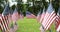 Rows of slow waving American flags, and one single USA flag blowing in the wind. Patriotic concept for US holidays, 4th of July,