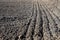 Rows of soil before planting. Grooved row on a plowed field prepared for planting in the spring,