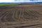 Rows of soil after plowing with traces of tires.