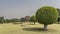 Rows of spherical trimmed trees and bushes grow on the neat green lawn