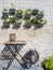 Rows of strawberry plants hanging on a wall in a small patio